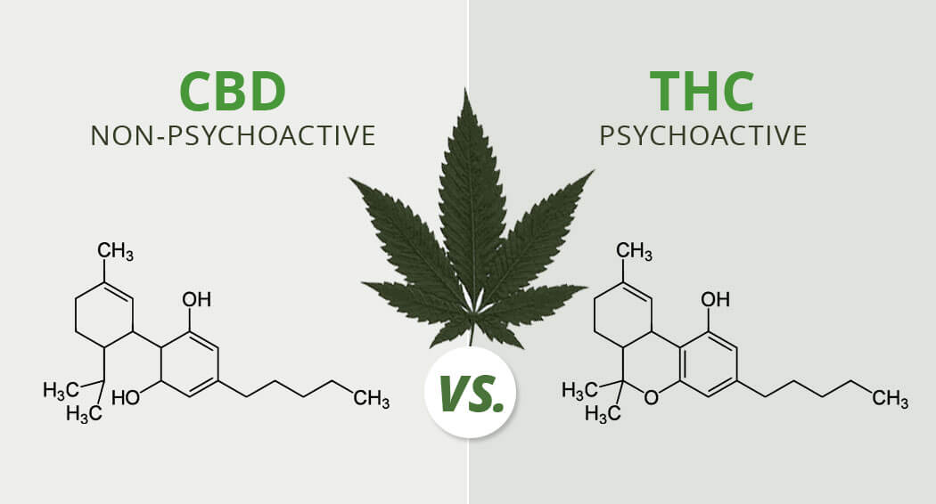 different between cbd and thc