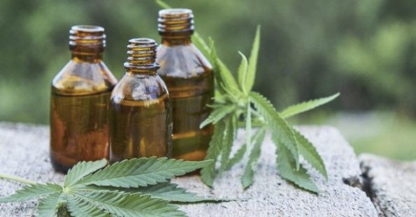 who is cbd oil for