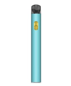 Breeze Canna & Chill THC Vape style Disposable Vape pen Bulk Wholesale Blueberry PIE