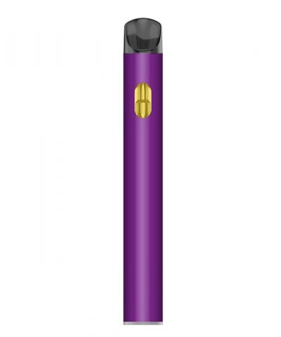 Breeze Canna & Chill THC Vape style Disposable Vape pen Bulk Wholesale Grape Gusher