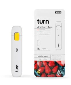 Turn-Vape-1-gram-empty-disposable-vape-pen-and-package-bulk-wholesale