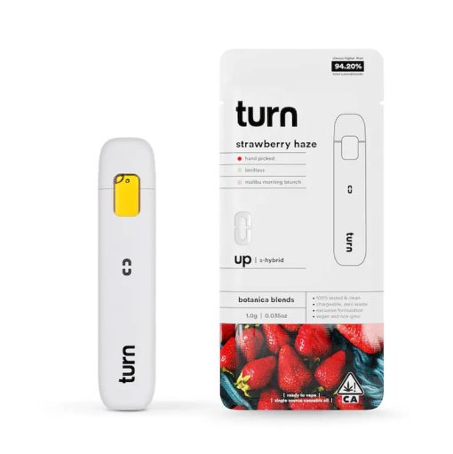 Turn-Vape-1-gram-empty-disposable-vape-pen-and-package-bulk-wholesale